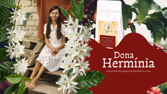 Dona Hermínia
